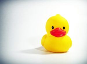 duck